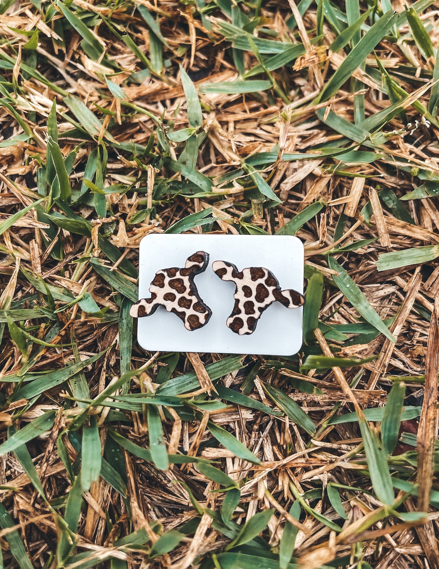 Cow Wood Earrings