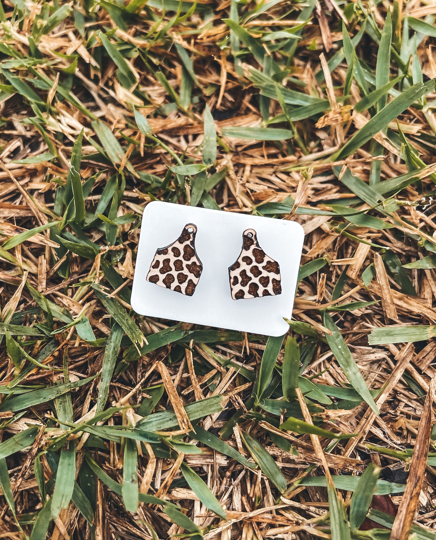 Cow Tag Wood Earrings